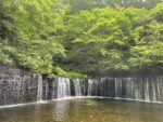路線バスで行く白糸の滝🌿初夏の軽井沢めぐり